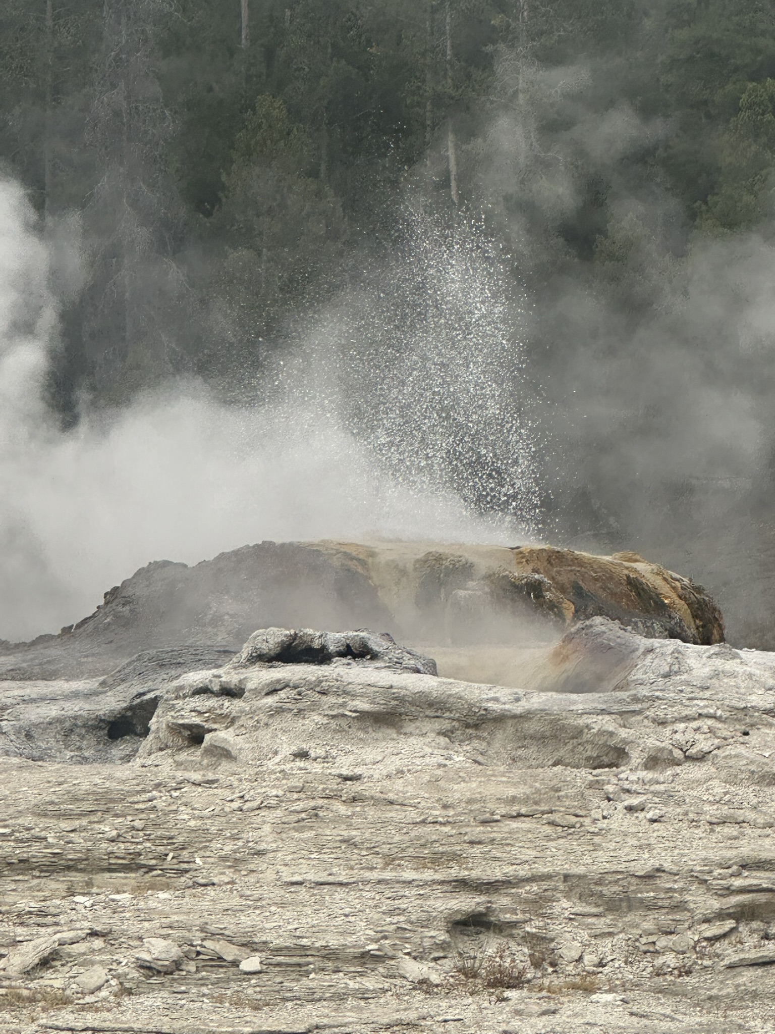 Yellowstone And Grand Teton National Parks - Image 81